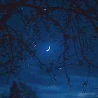 Lostmane - In My Dreams загрузить