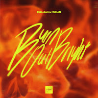 Lulleaux - Burn Out Bright Ft Melsen загрузить