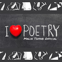 Malik Tayyab Official - I Love Poetry загрузить