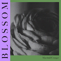 Marshall Usinger - Blossom (Instrumental Version) (Feat. M. Kites) загрузить