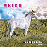 Meiko - My Brain Is A Computer (Acoustic) загрузить