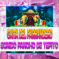 Musica Sonidera Ink - Gaita Del Parrandero Sonido Pancho De Tepito загрузить