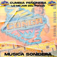 Musicasonideraexitos - La Gaita De Chepa Coco (Cumbia Peñonera) загрузить