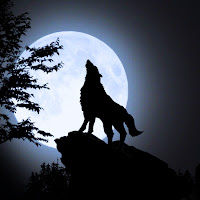 Nature Soundscape - Wolf Howling Forest загрузить