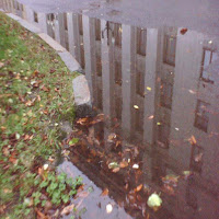 Найтивыход - Киты Умирают В Лужах Бензина загрузить