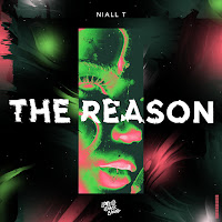 Niall T - The Reason загрузить