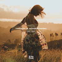 Nowakowski - The Sunlight Ft Faraon загрузить