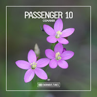 Passenger 10 - Osmania (Extended Mix) загрузить