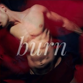 Pip - Burn загрузить