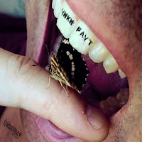 Питоны 3000 - Не Моя загрузить