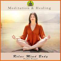 Prabin Dangol - Brain Healing Sound загрузить