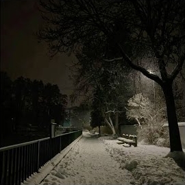 Pxradox - Monolith загрузить