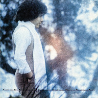 Riccardo Cocciante - A Mano A Mano загрузить