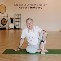 Robert Bahedry - Stress & Anxiety Relief загрузить
