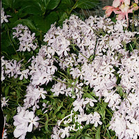 Rooftop Patio - Let You Go загрузить