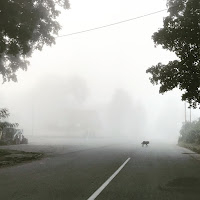 Sasha Boole - Зі Смертю Під Вінець загрузить