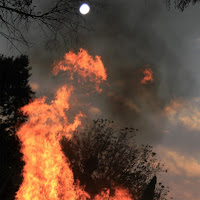 △Sco△ - Dead Subscribers загрузить