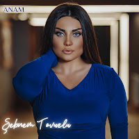 Şebnem Tovuzlu - Anam загрузить
