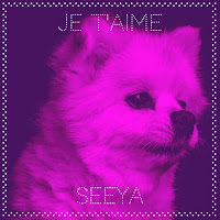 Seeya - Je T'aime загрузить
