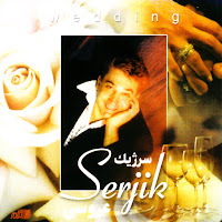 Serjik - Aroosi загрузить