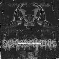 Shadowstorm - Schizophrenic (Slowed + Reverb) Ft Ghostyplaya загрузить