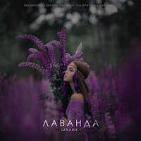 Шалих - Лаванда загрузить