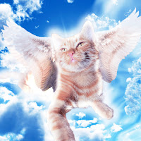 Simbachka - Я Скучаю По Тебе загрузить