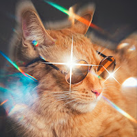 Simbachka - Я Тигр загрузить