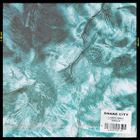 Snake City - Perfect Mind загрузить