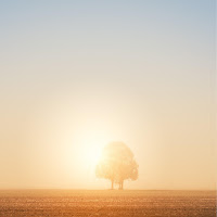 Snow Flakes - Papi (Bhabi) (Remix) загрузить