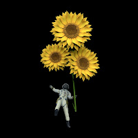 Sofia Isella - Rainbow Rocket Ride загрузить