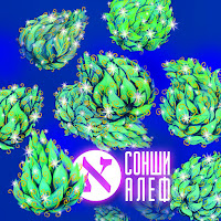 Обложка песни 