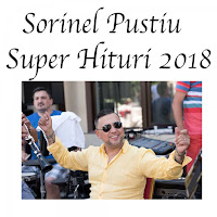 Sorinel Pustiu - Ca Un Tablou Te Privesc загрузить
