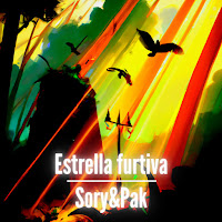 Sory&Pak - Estrella Furtiva загрузить
