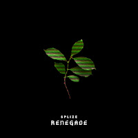 Splize - Renegade Ft Notize загрузить