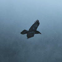 Stoto - If I Could Turn Back Time (2Nd Edit) загрузить