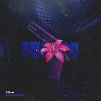 T-Zhuk - Amaga (Syvorovv Remix) загрузить