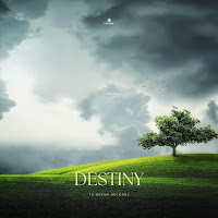 Taoufik - Destiny загрузить