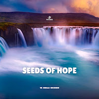 Taoufik - Seeds Of Hope загрузить