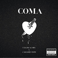 Taylor Acorn - Coma Ft Cassadee Pope загрузить