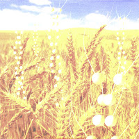 Télépopmusik - Breathe (Feat. Angela Mccluskey) загрузить