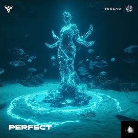 Tescao - Perfect загрузить