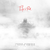 Thomas Schwartz - Sopie Is The Culprit Ft Fausto Fanizza загрузить