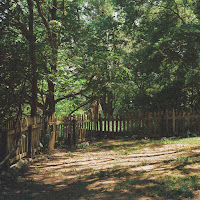 Tony Anderson - Apparition загрузить