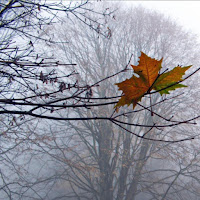 Twin Ngor - I Was Lost загрузить