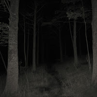 Vandalism - Bleach загрузить