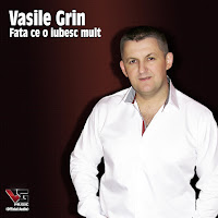 Vasile Grin - Fata Ce O Iubesc Mult загрузить