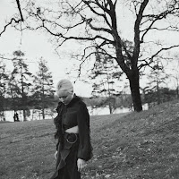 Vesala - Pahanilmanlinnut загрузить