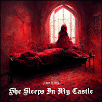Вино - She Sleeps In My Castle (Feat. Flx) загрузить