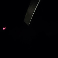 Vnasakar - E R K U загрузить